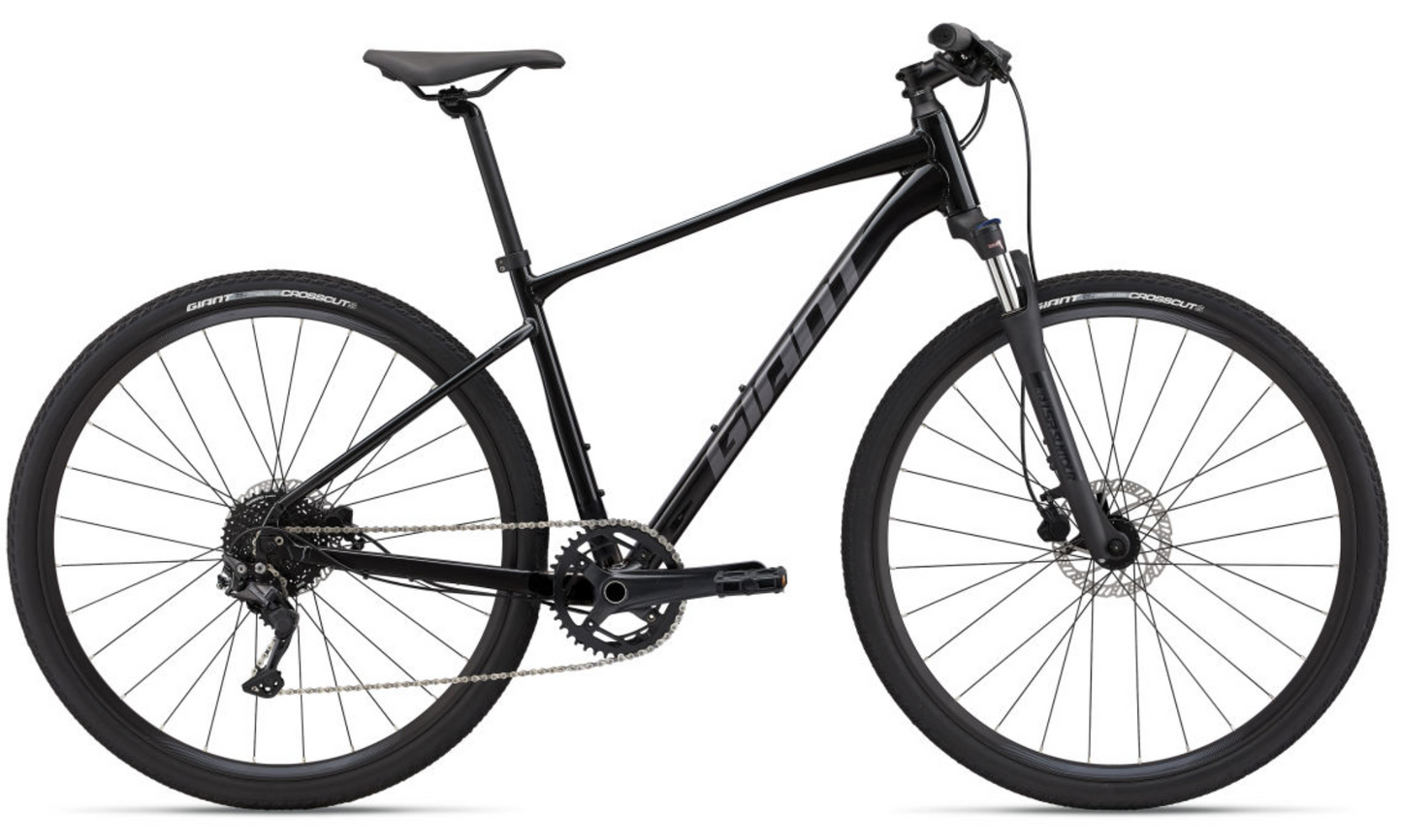 Giant Roam 2 Disc GU Black XL realitybikes